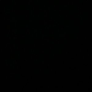 Meet your Posher, Alan